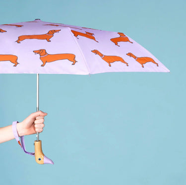 Parapluie Teckel